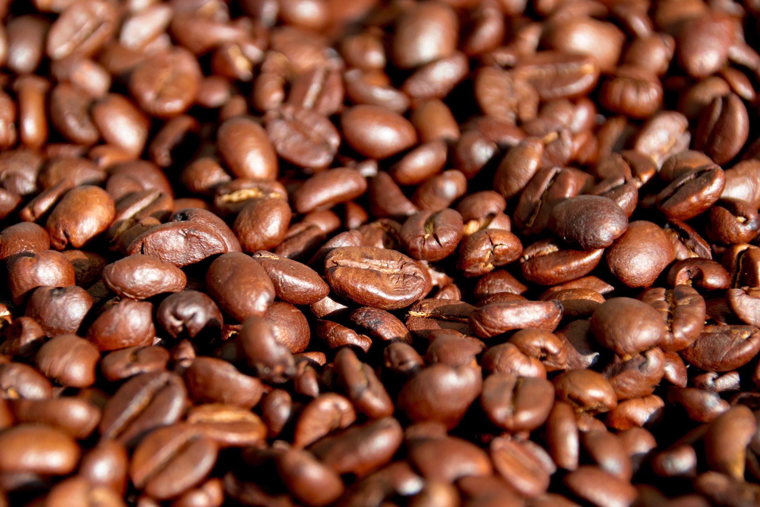 Light Roast